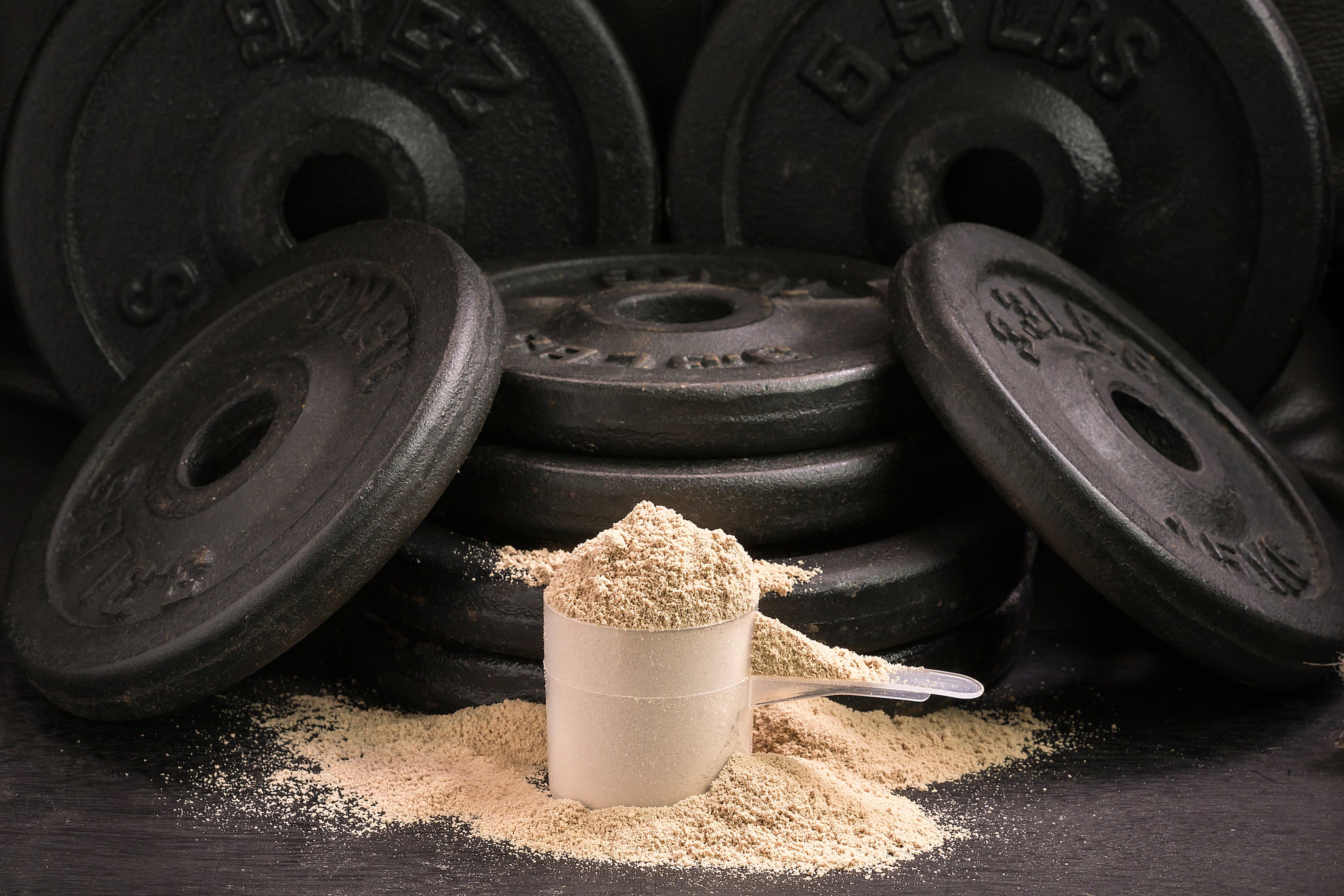 Why Protein is So Important